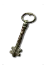 Lair Key *100