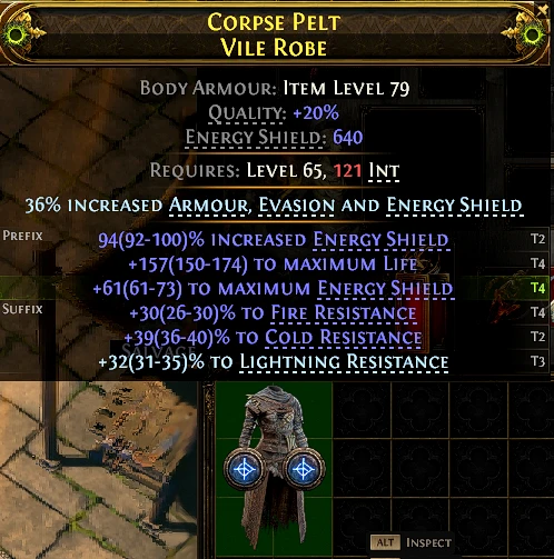 CORPSE PELT VILE ROBE